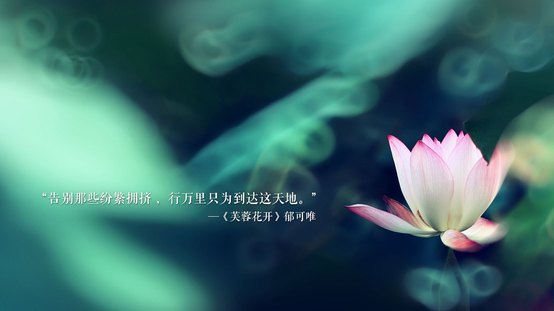 _公牛绝地反击，末节逆袭雷霆_，公牛40秒超级逆转