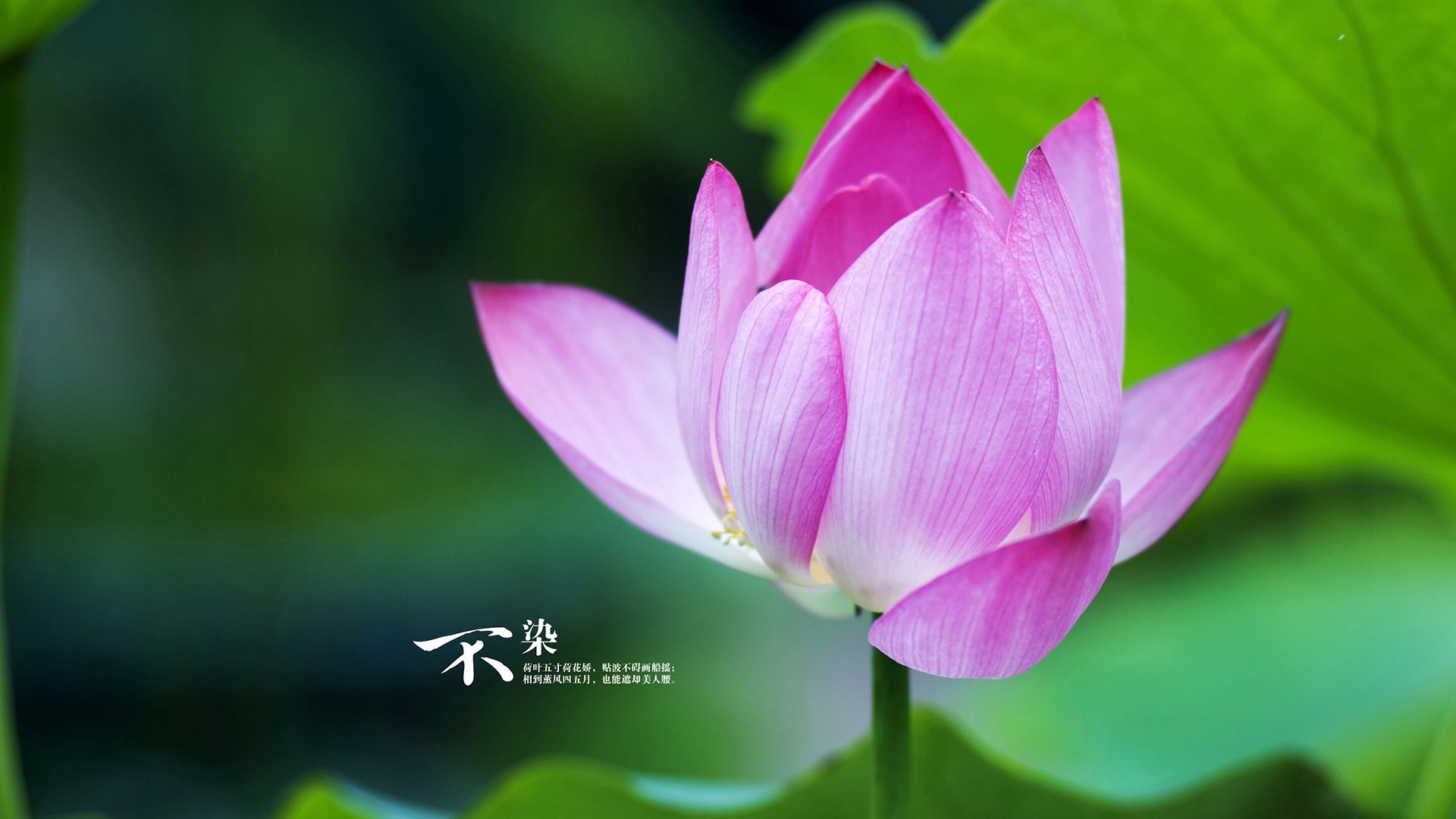 国际热身赛国家队爆冷 球迷讨论战术调整,国际热身赛直播