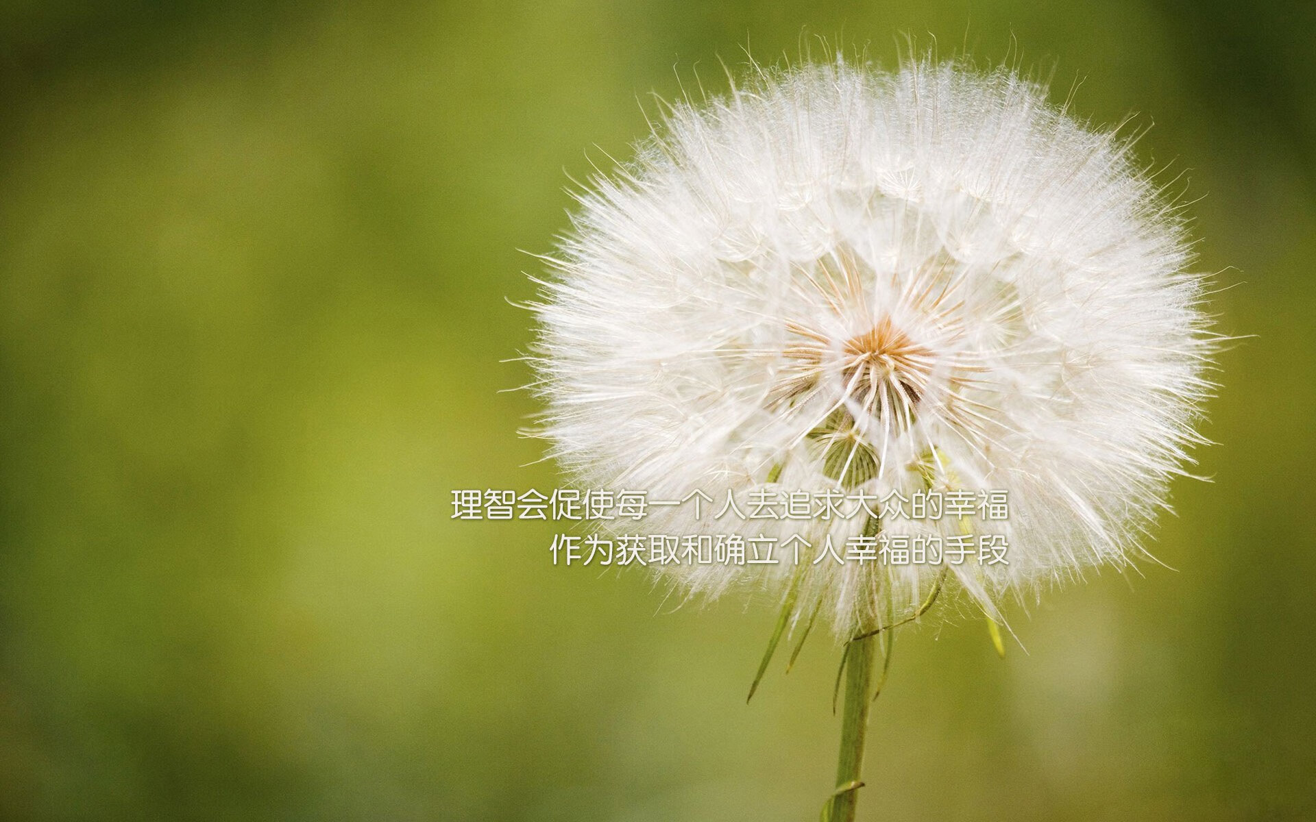 希腊女篮在欧洲锦标赛中再夺金牌，传统劲旅延续荣耀使命，希腊篮球世锦赛