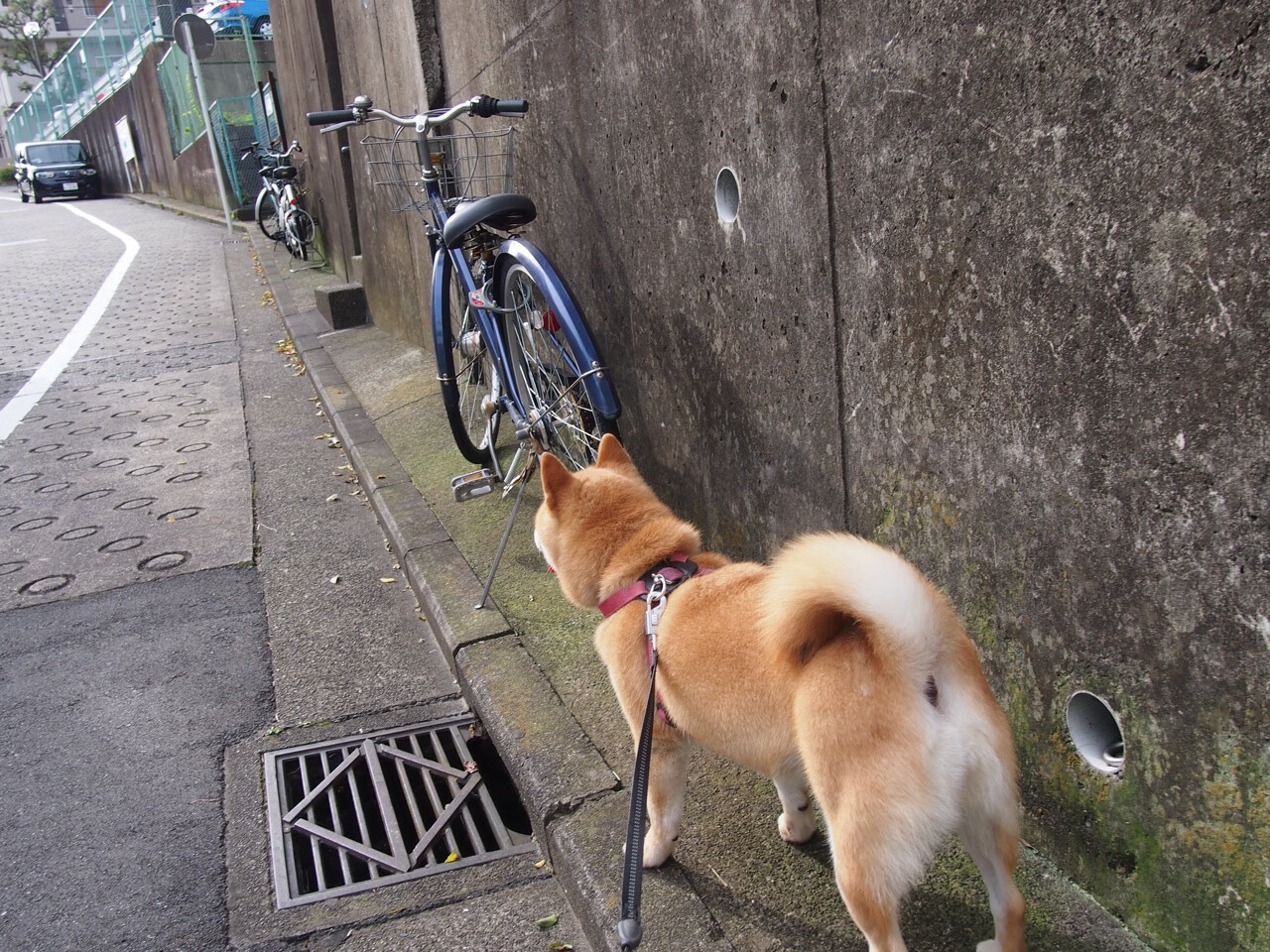 欧洲杯剧情逆转：变阵奇兵带来奇迹！，欧洲杯 阵型