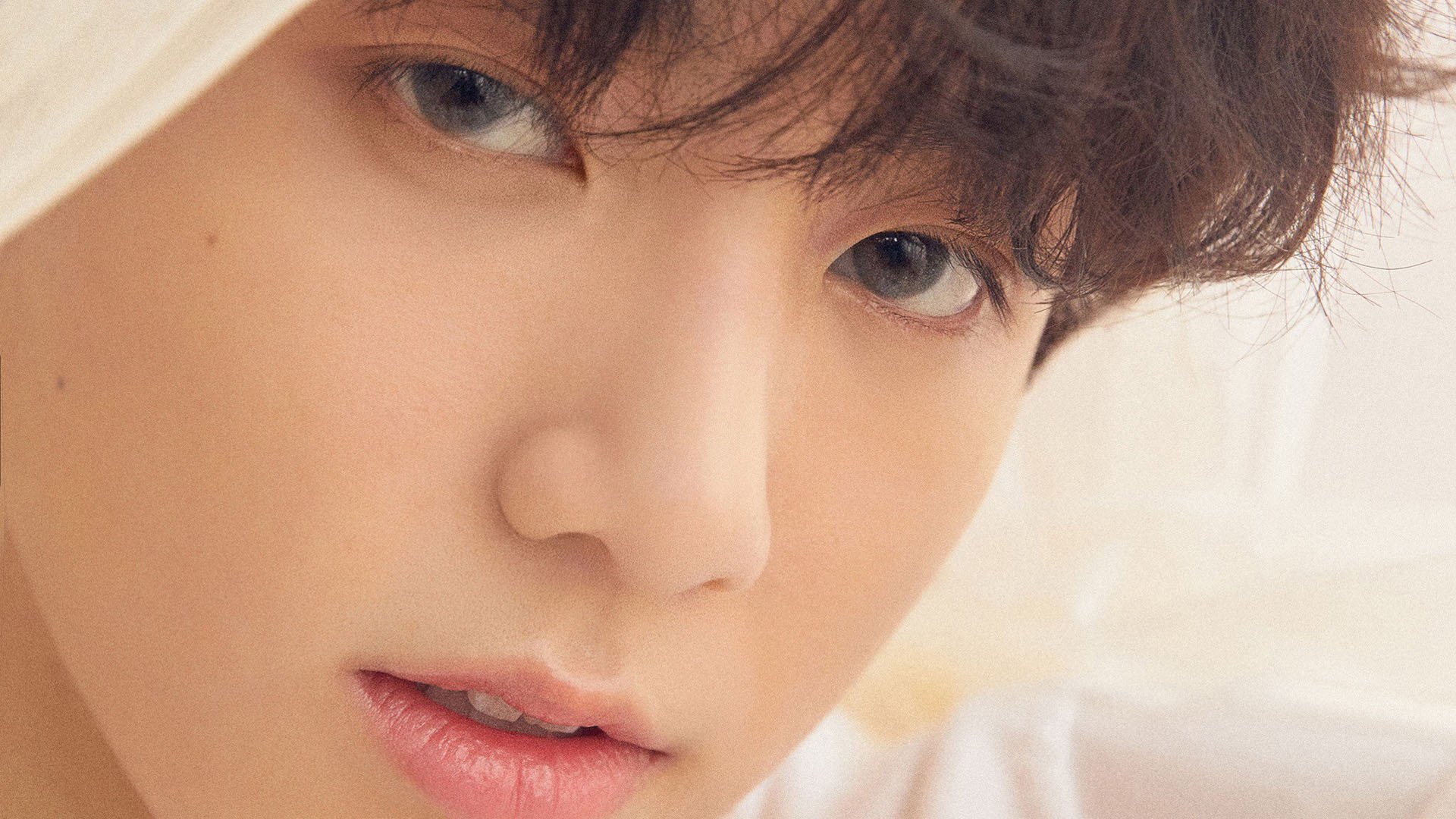 美洲杯星光耀眼：明星闪耀，精彩纷呈！，美洲杯巡礼